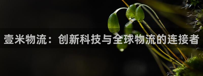 ,优游国际黑款：壹米物流：创新科技与