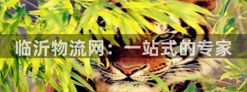 优游国际官网入口2024：临沂物流网