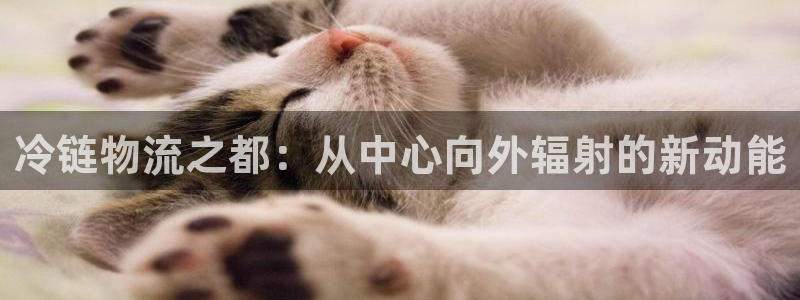 ,优游国际如何注销账号：冷链物流之都