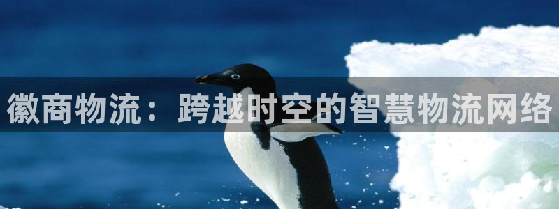 ,优游国际注册平台：徽商物流：跨越时