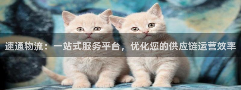 ,优游国际娱乐官网网页下载：速通物流