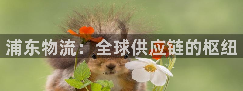 ,优游国际初始资金密码在哪里改：浦东