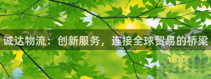 ,优游国际官方官网版：诚达物流：创新
