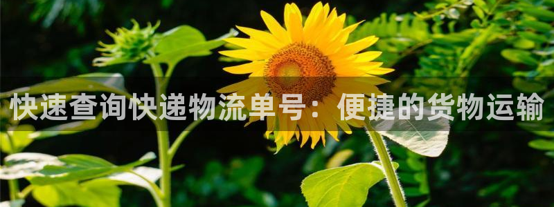 ,优游国际提现不到账：快速查询快递物