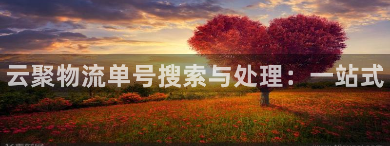 ,优游国际加拿大在线预测：云聚物流单