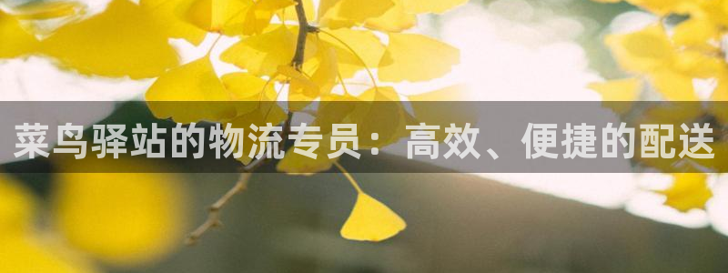 ,优游国际电子游戏：菜鸟驿站的物流专员：高效、便捷的配送