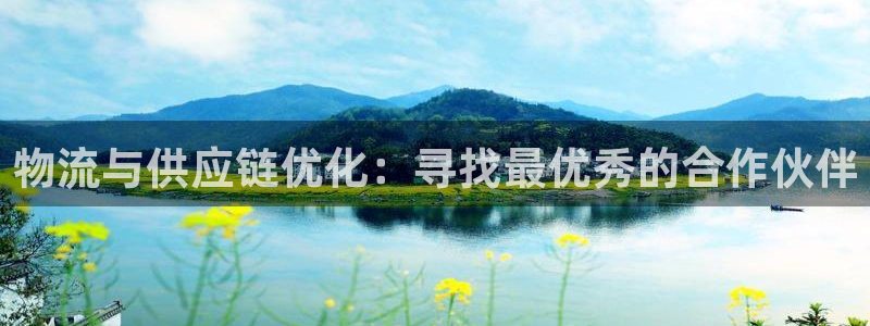 ,优游国际体育下载：物流与供应链优化