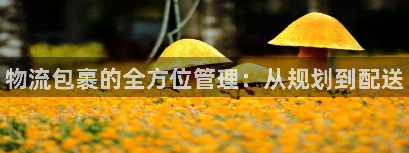 ,优游国际推广链接是多少：物流包裹的