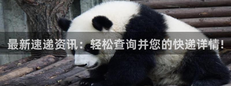 优游国际官网入口正版：最新速递资讯：轻松查询并您的快递详情!