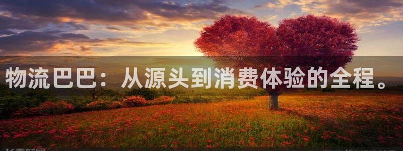 ,优游国际p扣除是什么意思：物流巴巴