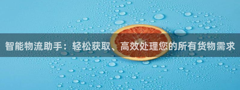 优游国际官网下载加拿大：智能物流助手