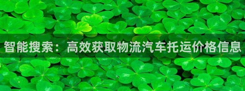,优游国际头像：智能搜索：高效获取物
