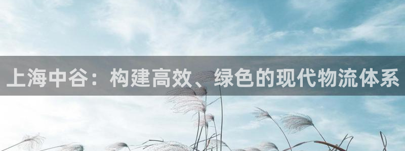 优游国际官网入口南宫：上海中谷：构建高效、绿色的现代物流体系