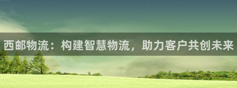 优游国际官网下载：西邮物流：构建智慧
