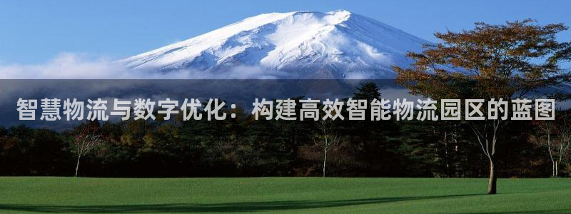 ,优游国际官方平台：智慧物流与数字优