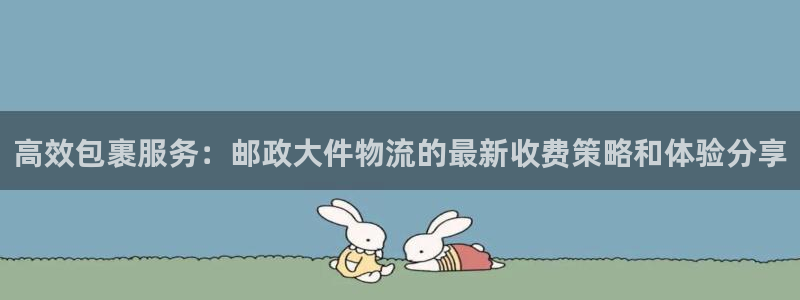 ,优游国际官方版网站：高效包裹服务：