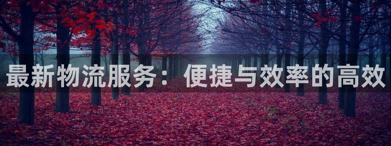 ,优游国际那个才是充值账号:最新物流