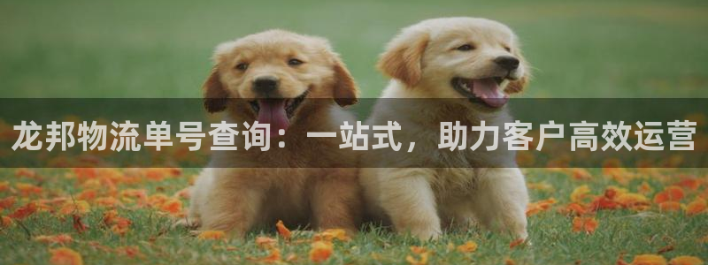 ,优游国际p扣除