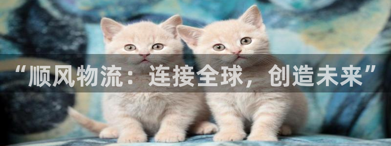 ,优游国际APP是干什么的:“顺风物