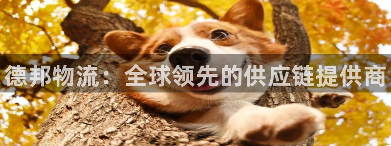 ,优游国际注册限制怎么解除:德邦物流