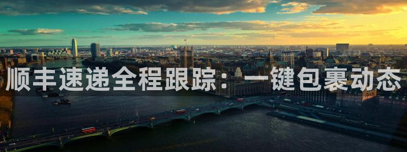 ,优游国际加拿大：顺丰速递全程跟踪：