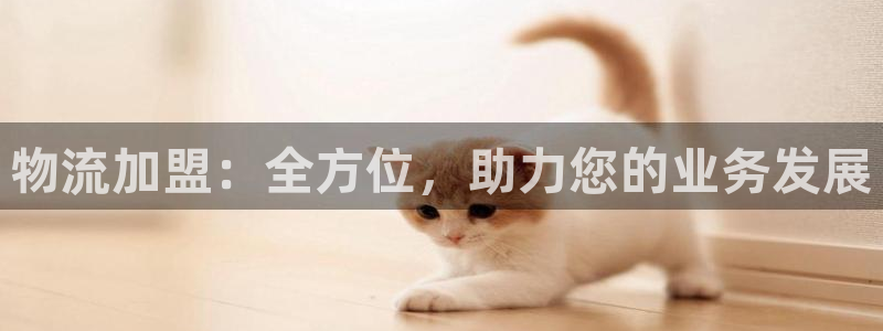 优游国际注册链接：物流加盟：全方位，