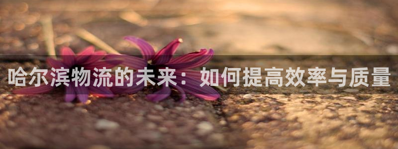 ,优游国际现在狂杀：哈尔滨物流的未来