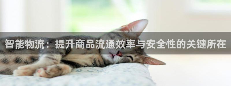 ,优游国际登录用户名登录不上