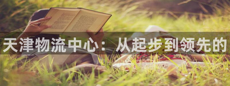 ,优游国际稳吗：天津物流中心：从起步到领先的