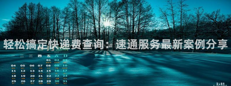 ,优游国际合法吗：轻松搞定快递费查询：速通服务最新案例分享