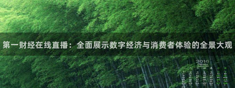 黑白直播体育app官网：第一财经在线直播：全面展示数字经济与消费者体验的全景大观