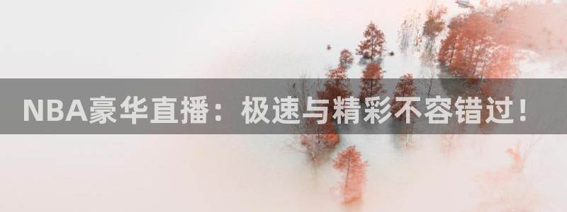 黑白直播免费体育直播nba：NBA豪华直播：极速与精彩不容错过！