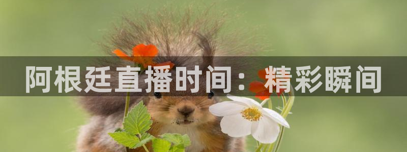 黑白nba直播在线观看免费：阿根廷直播时间：精彩瞬间