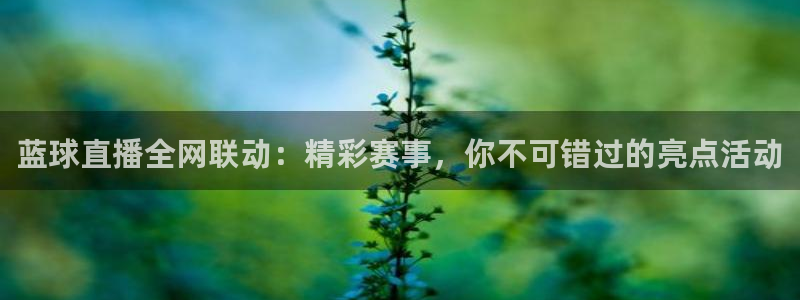 黑白体育nba直播：蓝球直播全网联动：精彩赛事，你不可错过的亮点活动
