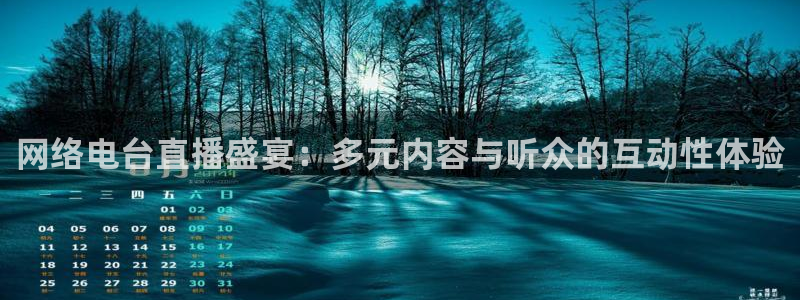 黑白直播nba在线观看：网络电台直播盛宴：多元内容与听众的互动性体验