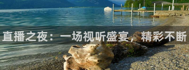 黑白直播足球：直播之夜：一场视听盛宴，精彩不断
