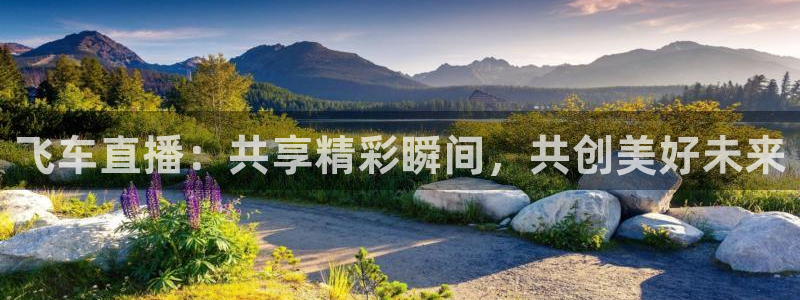 黑白直播 足球：飞车直播：共享精彩瞬间，共创美好未来