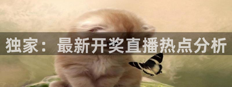 黑白体育比赛在线观看：独家：最新开奖直播热点分析