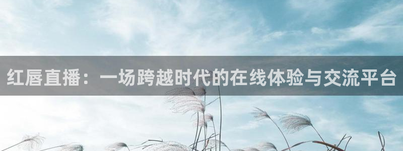 黑白直播在线观看nba：红唇直播：一场跨越时代的在线体验与交流平台