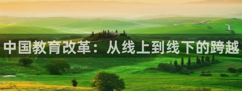 黑白nba免费直播在线观看：中国教育改革：从线上到线下的跨越